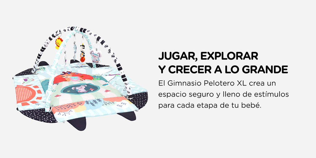 Gimnasio de Actividades XL