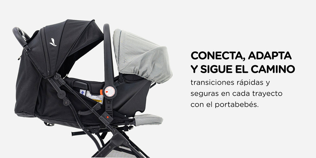 Argus Travel System