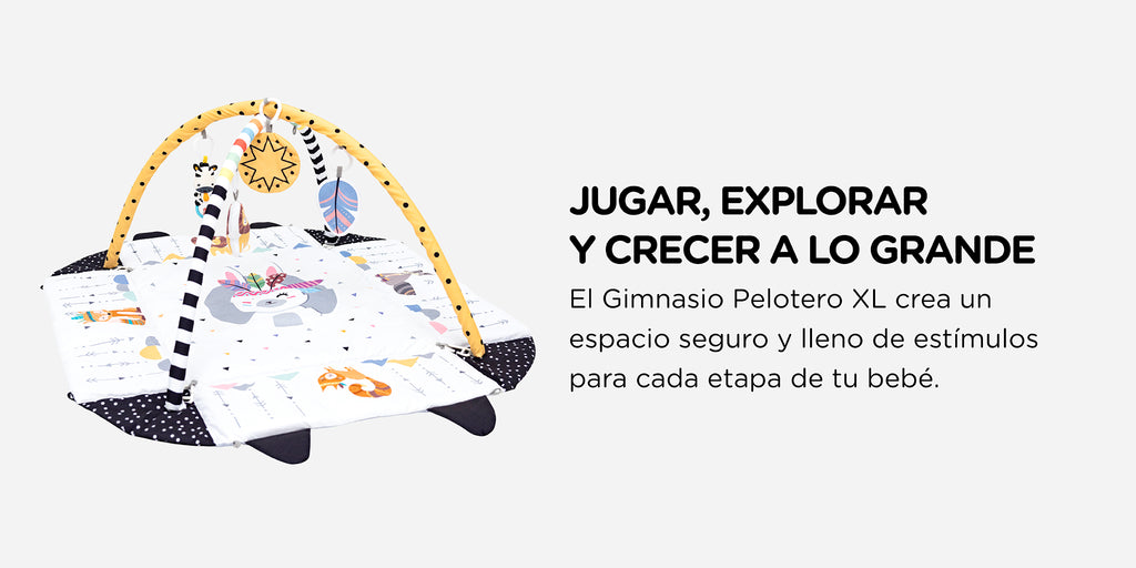 Gimnasio de Actividades XL
