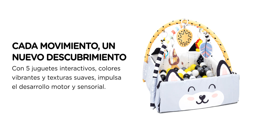 Gimnasio de Actividades XL