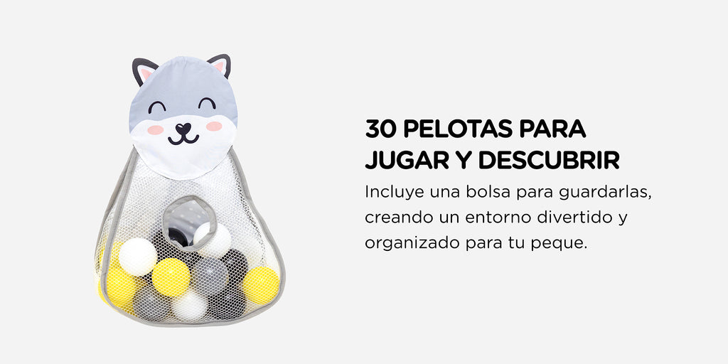 Gimnasio de Actividades XL